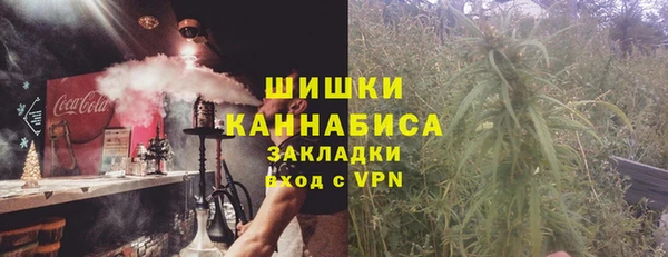 индика Нязепетровск