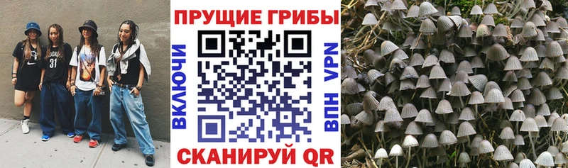 как найти закладки  OMG сайт  Галлюциногенные грибы Magic Shrooms  Урус-Мартан 