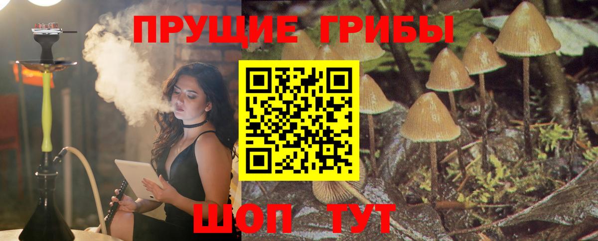 Галлюциногенные грибы GOLDEN TEACHER Урус-Мартан
