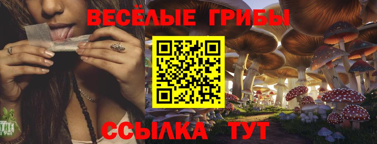Псилоцибиновые грибы мухоморы  Вход с VPN  Урус-Мартан  Галлюциногенные грибы GOLDEN TEACHER 