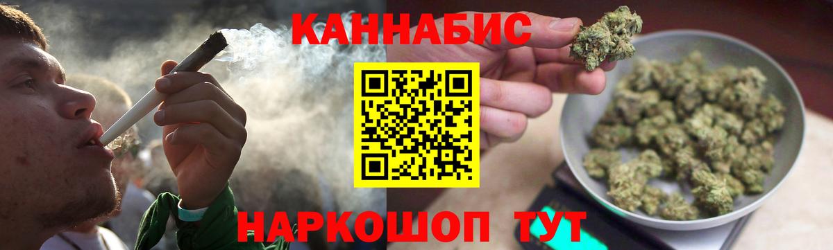 Каннабис сатива Урус-Мартан